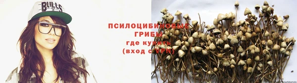 ГАЛЛЮЦИНОГЕННЫЕ ГРИБЫ Верхний Тагил