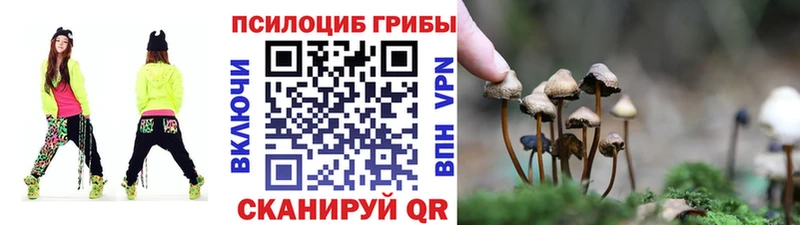 МЕГА как зайти  Петровск  Галлюциногенные грибы Psilocybe 